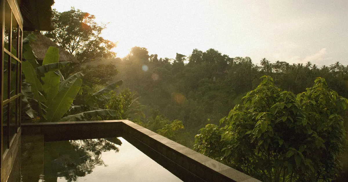 Luxury concrete infinity pool in a modern Bali villa, surrounded by lush jungle and tropical landscaping