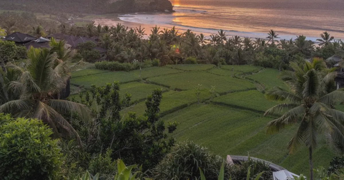 Expansive piece of coastal land in Bali with palms and golden sunset sky, ready for villa development