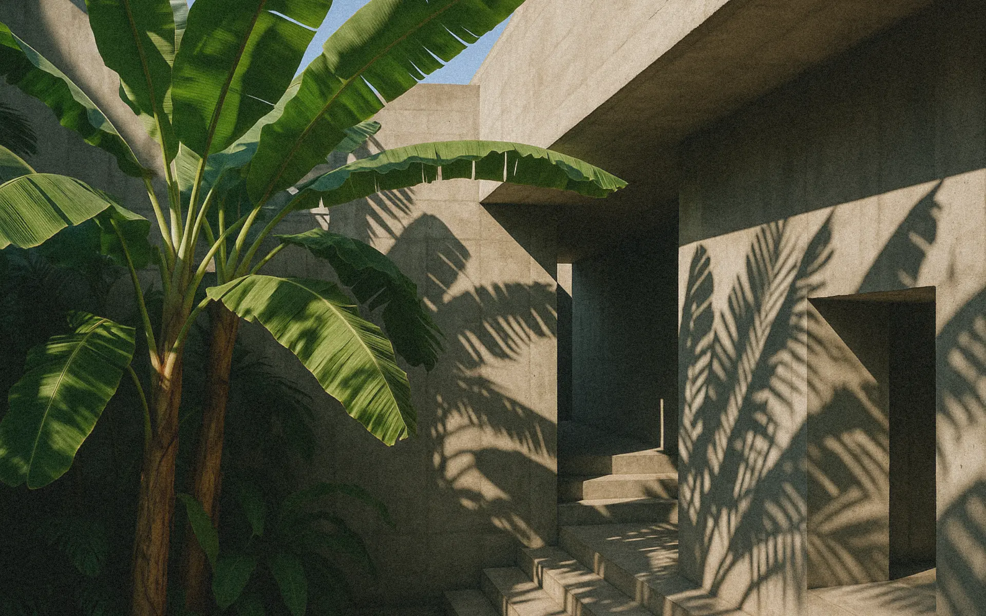 Brutalist concrete entryway with angular steps and banana palm shadows cast across sunlit walls.