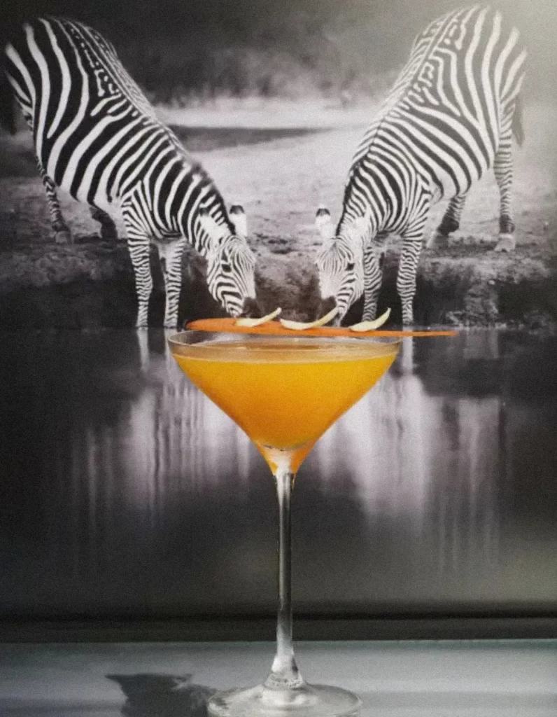 Orange cocktail in a martini glass positioned in front of a black and white zebra photograph, creating the illusion the zebras are drinking from the glass