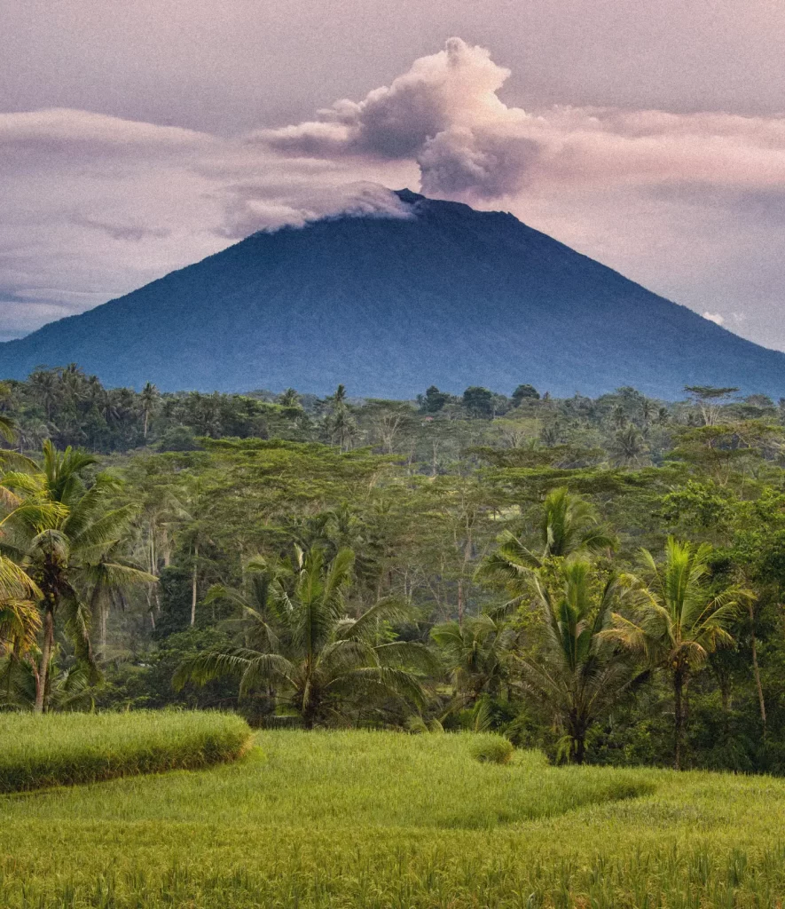 Mount Agung volcano with misty clouds above rice terraces and palm trees in foreground at sunset
