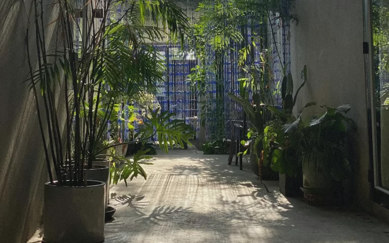 Tropical brutalist concrete courtyard with lush plants, soft daylight, and beaded outdoor curtains creating filtered shadows.