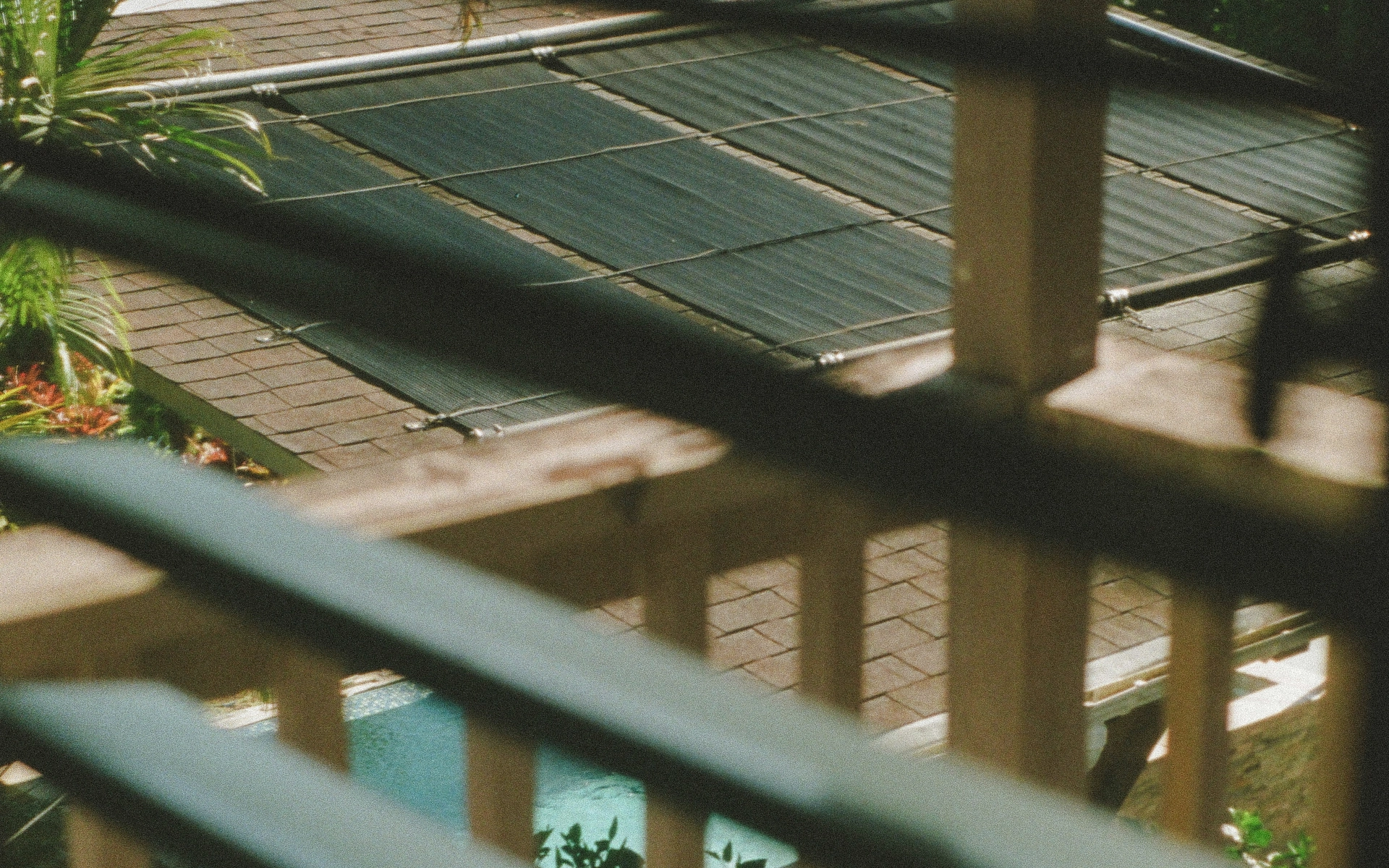 Close-up of rooftop solar panels with palms and a pool visible through the deck railing.