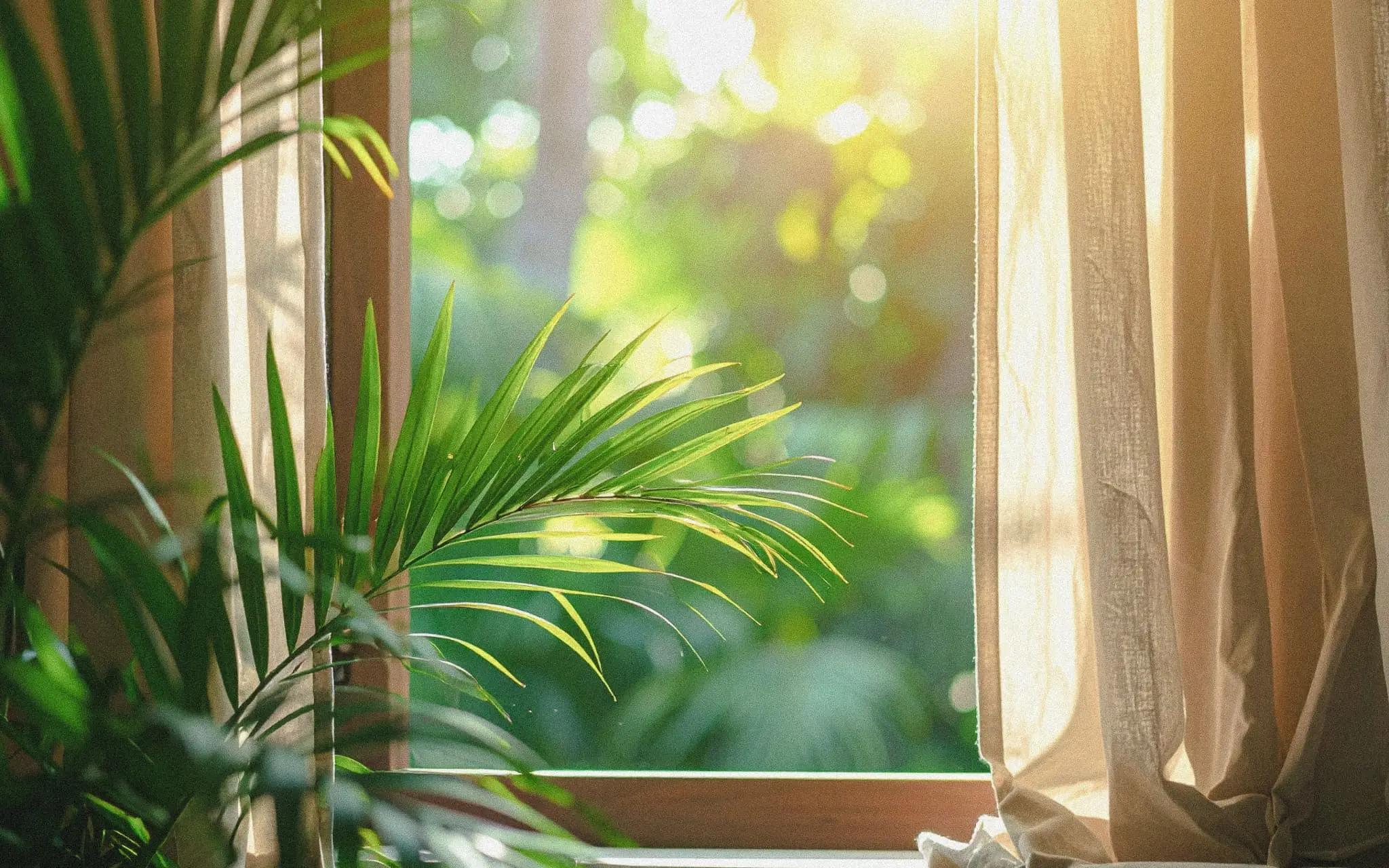 Open window with white linen curtain and palm trees outside in warm tropical sunlight