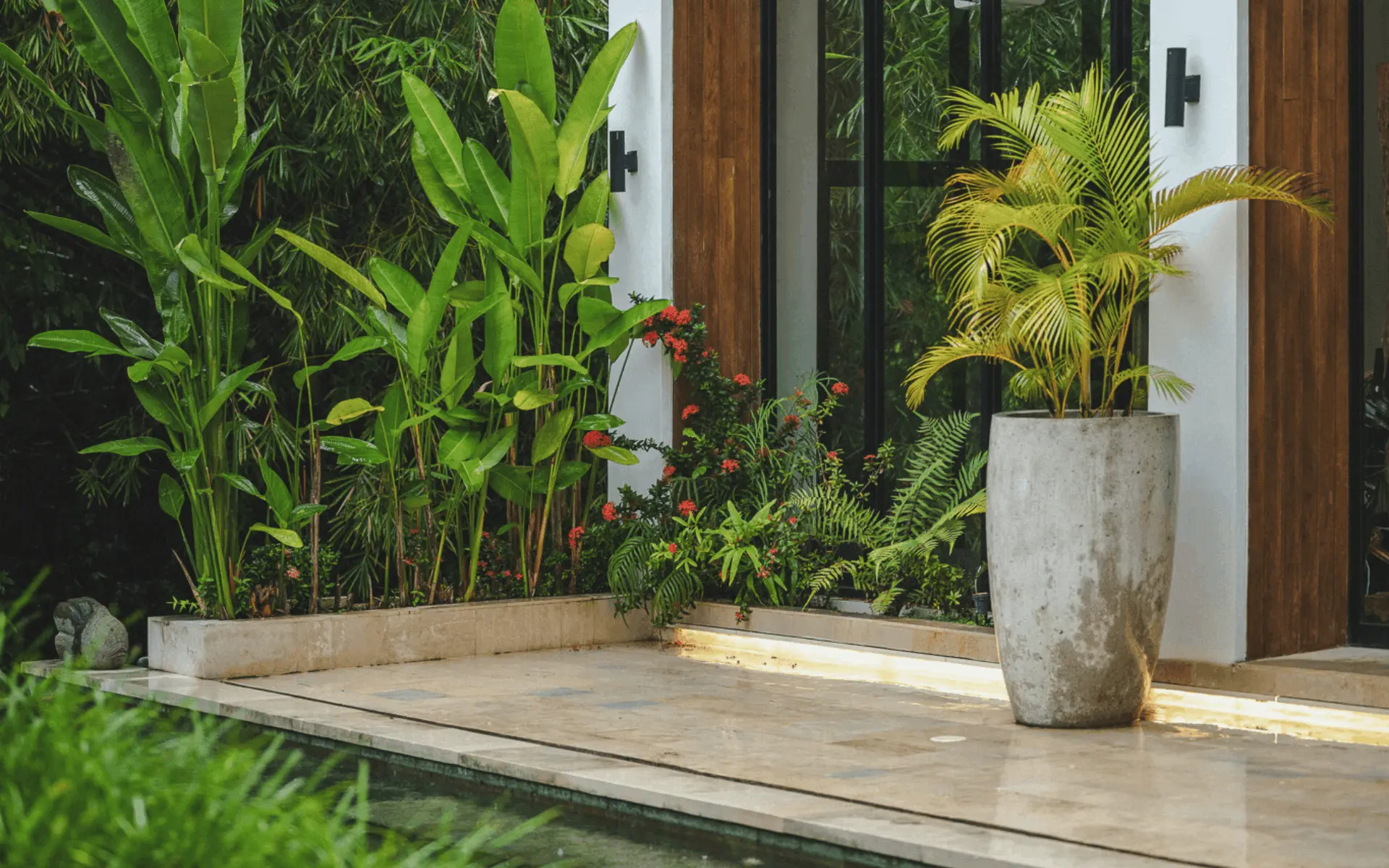 Bali villa backyard with white walls, wood doors, black framed windows, tropical plants, and a large concrete planter.