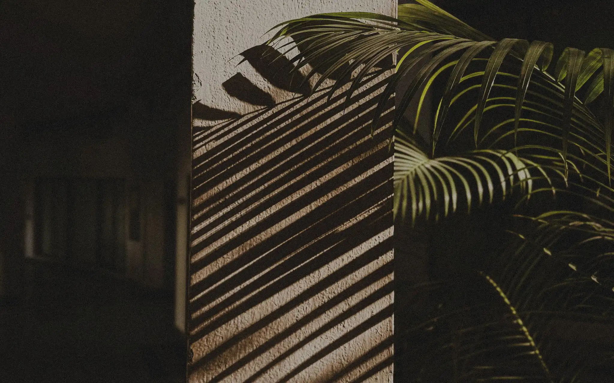 Concrete architectural beam with palm shadows and filtered tropical sunlight