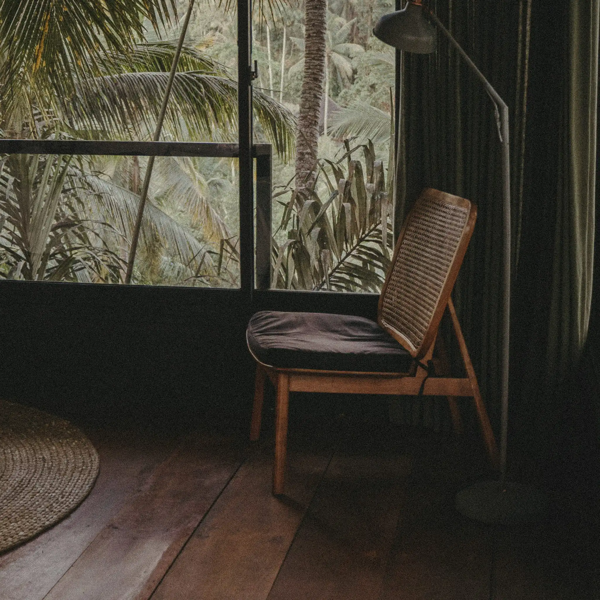 Moody rattan and wood chair beside a tropical window with palm shadows and filtered sunlight