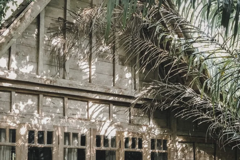 Weathered timber building in Bali surrounded by tropical palms and dappled sunlight