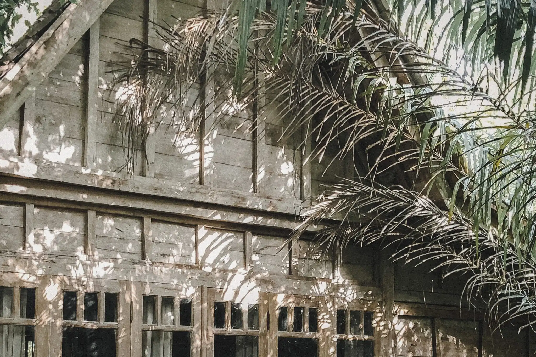 Weathered timber building in Bali surrounded by tropical palms and dappled sunlight