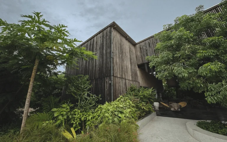 A contemporary timber-clad tropical building framed by lush trees and layered planting, with an open-air entrance that blurs the boundary between architecture and landscape.