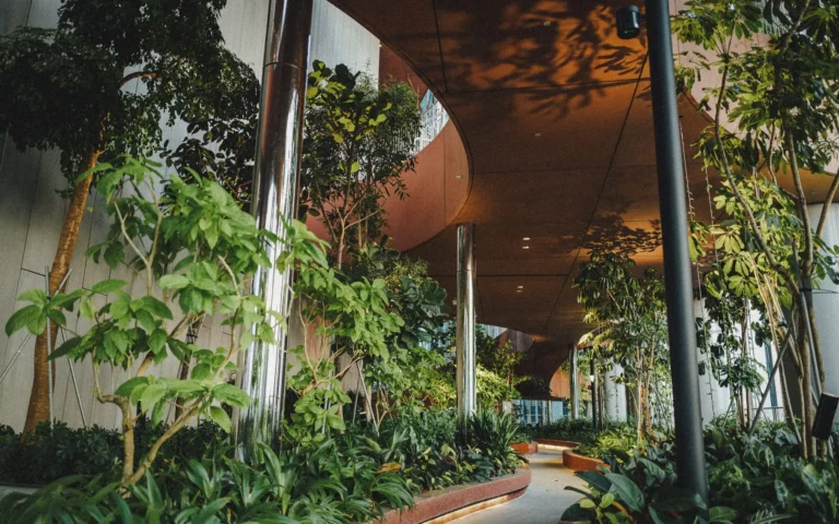Biophilic_Design_Chuttersnap (1) (1)