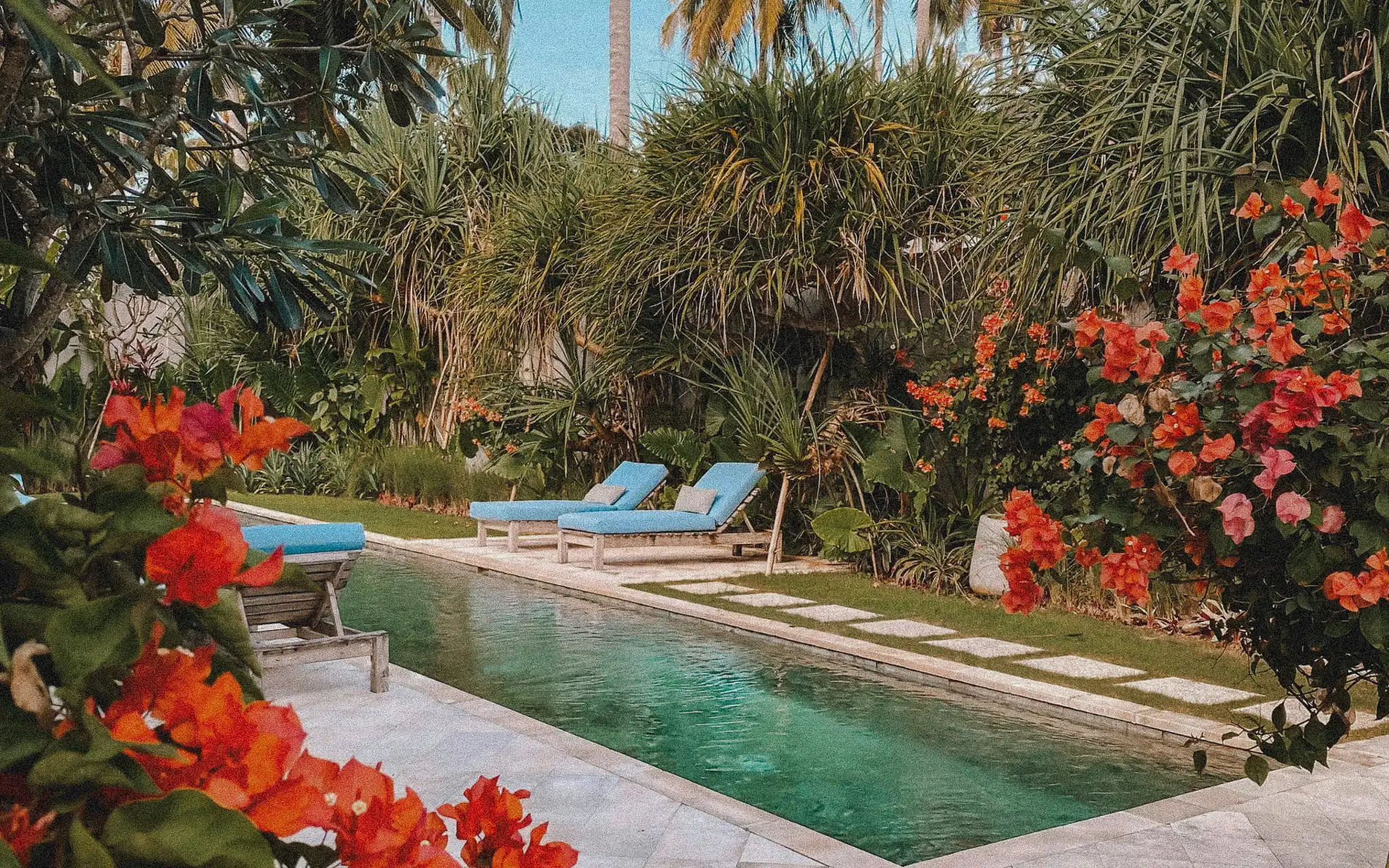 Long swimming pool framed by mature tropical landscaping and flowering bougainvillea.