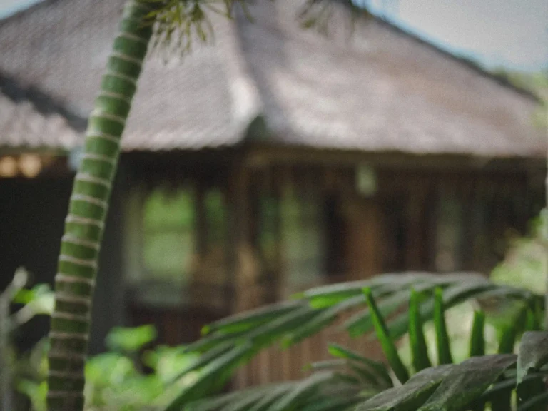 Blurred tropical pavilion seen through lush green foliage, illustrating the relationship between architecture and nature in Southeast Asia.