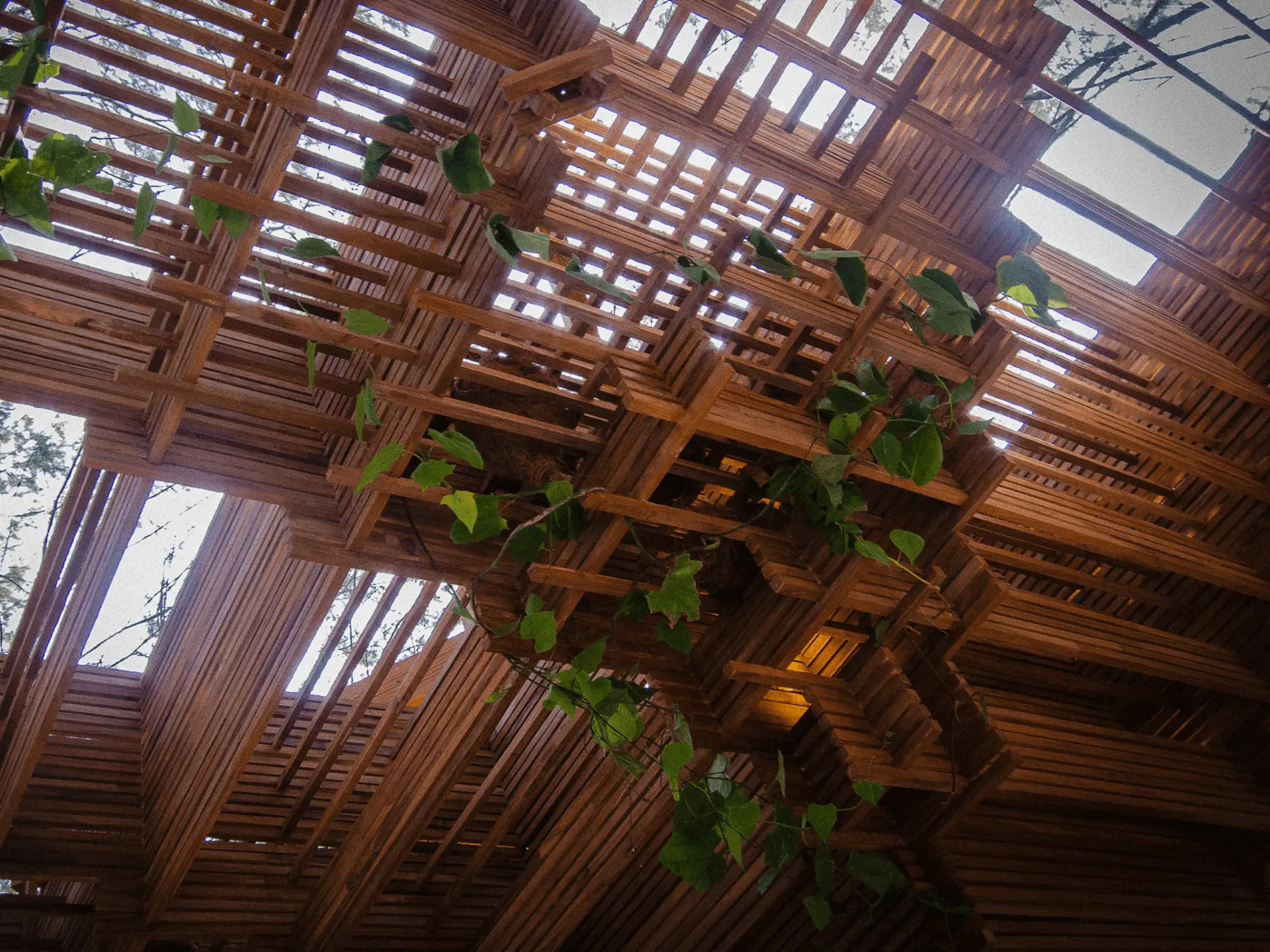 Main Main by blancostudio at Jia Curated in Bali, a timber lattice installation woven with climbing plants.